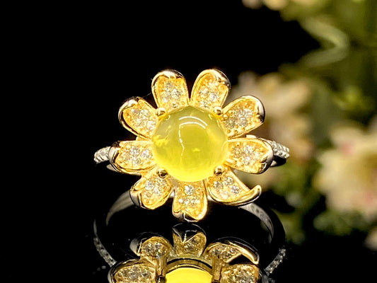 Daisy Bloom