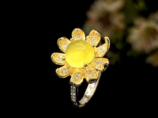 Daisy Bloom