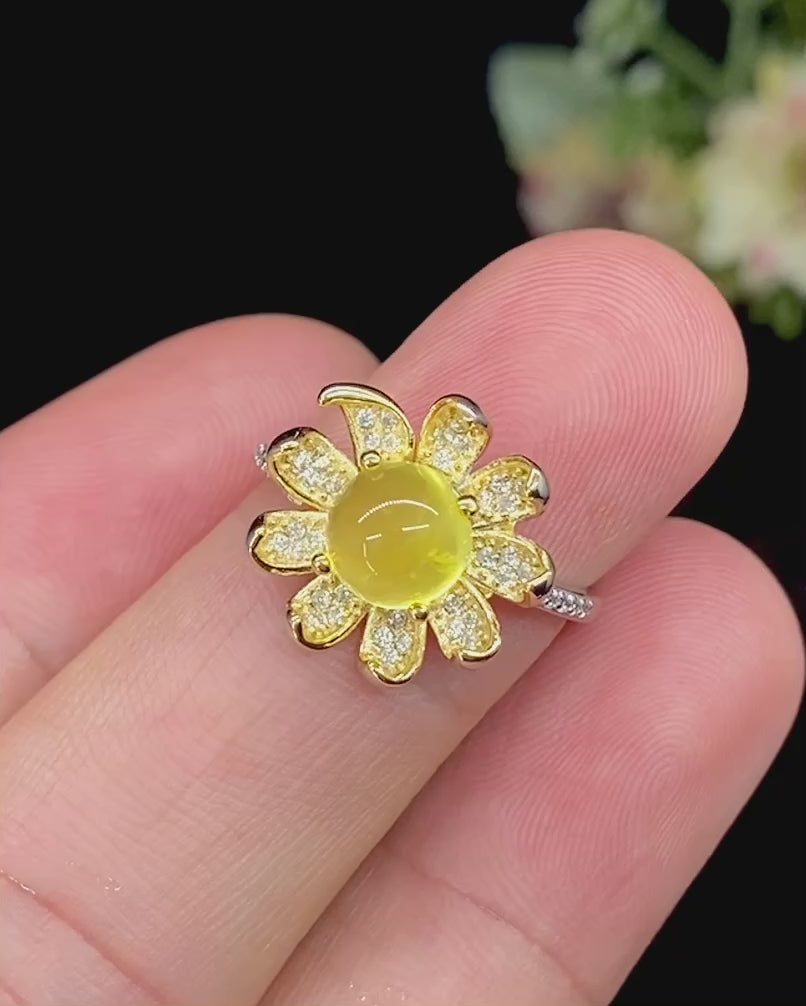 Daisy Bloom